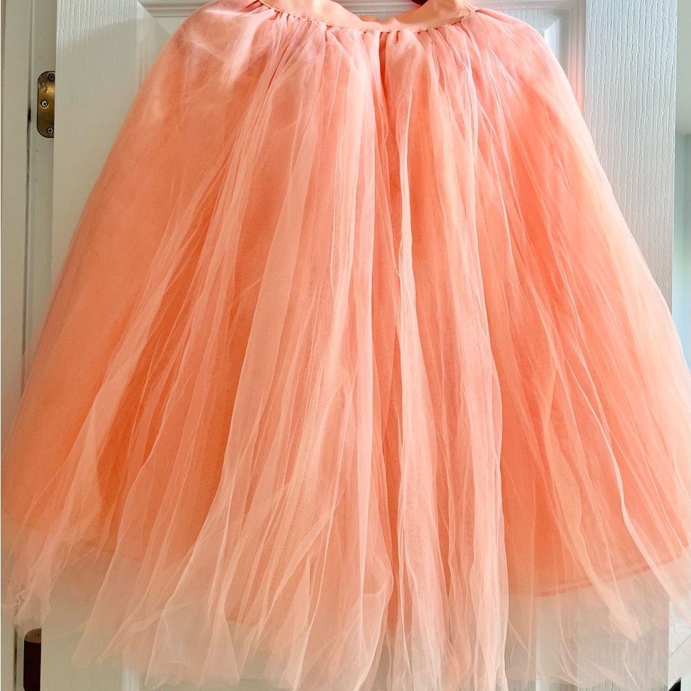 Brand New Elegant Peach Tulle Skirt